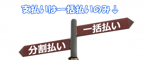 支払い方法は一括払いのみ