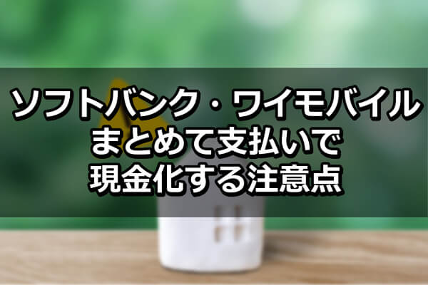 ソフトバンク・ワイモバイルまとめて支払いで現金化する注意点